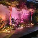 Philips Hue Amarant Outdoor Light 24V