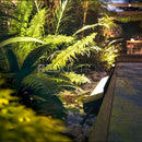 Philips Hue Amarant Outdoor Light 24V