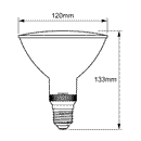 Philips 5-Colour LED PAR38 Bulb