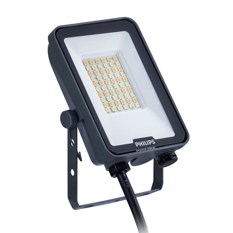 Philips Tri-Colour LED Flood Light