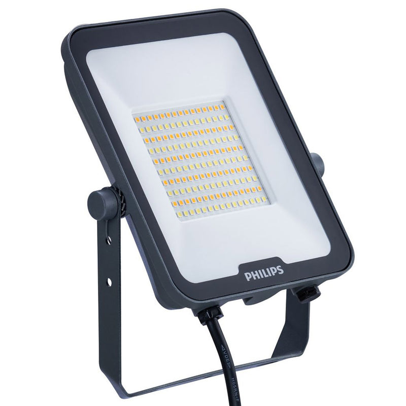 Philips Tri-Colour LED Flood Light