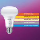 Philips 5-Colour LED R80 Bulb