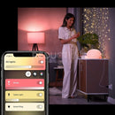 Philips Hue Smart Plug