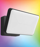 Philips Hue Flood Light