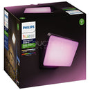 Philips Hue Flood Light